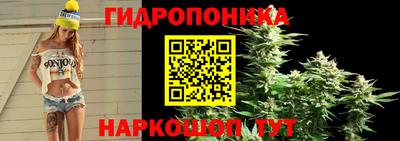 стаф Партизанск