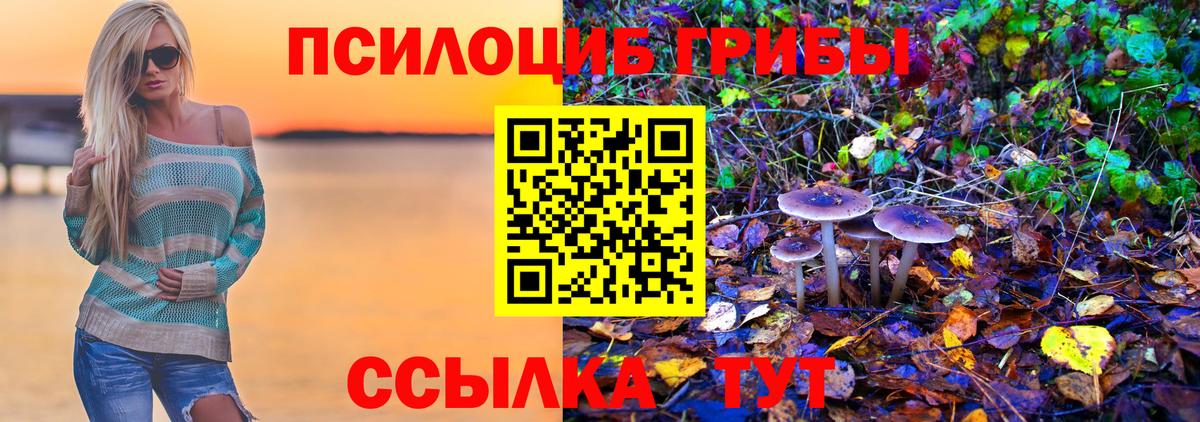 Галлюциногенные грибы прущие грибы  Галлюциногенные грибы мухоморы  Ртищево  Вход с VPN 